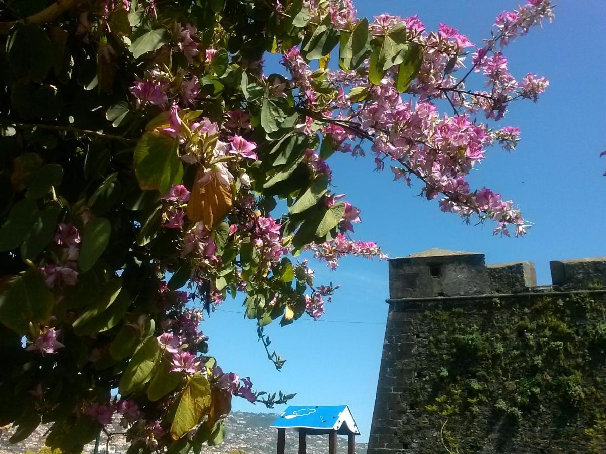 Casa Pico Musica Daire Funchal Dış mekan fotoğraf